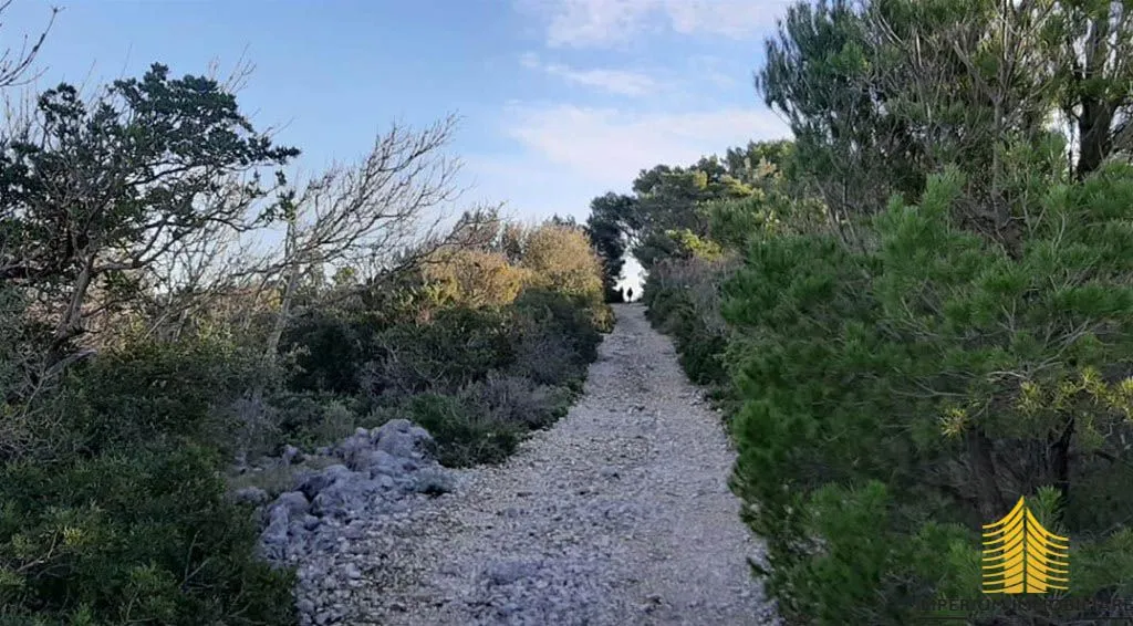 prodaja, zemljište, poljoprivredna površina - slika 6