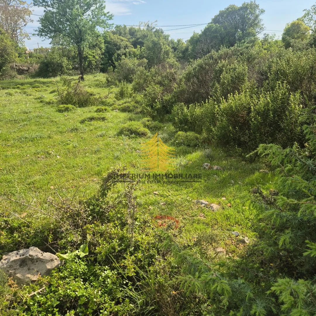 zemljište prodaja, zadar, sukošan, 1600m2 - slika 3