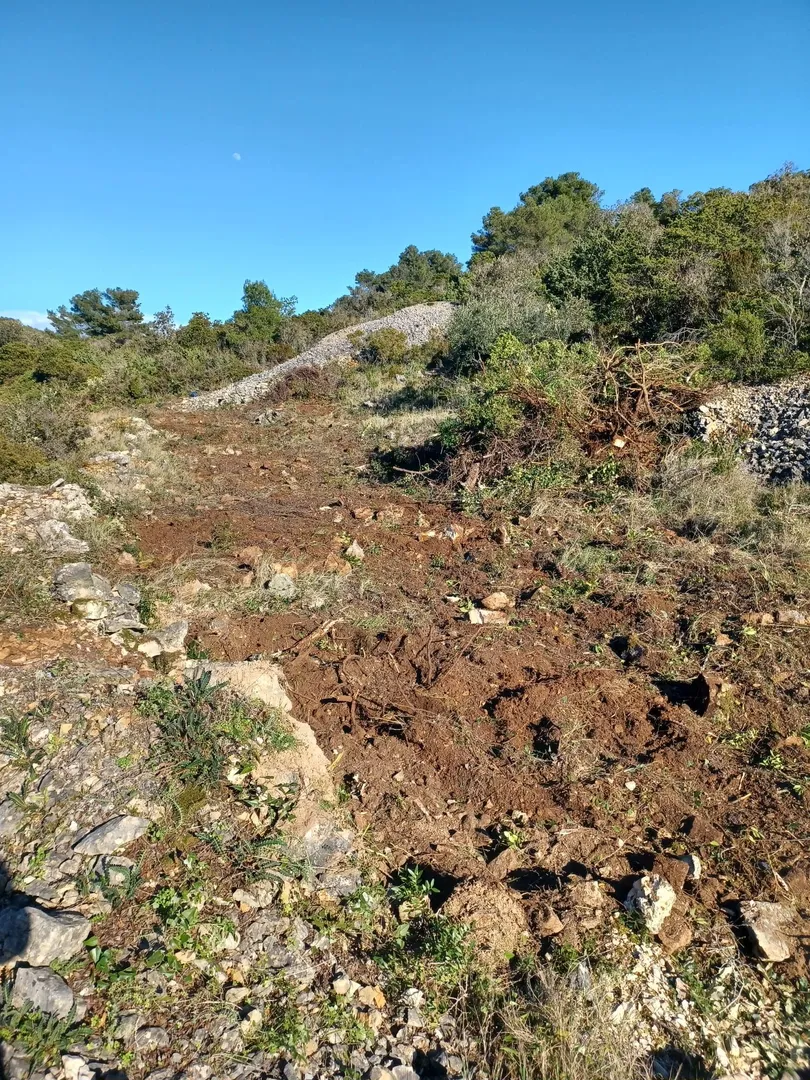 poljoprivredno zemljište, vis, 7490 m2, prodaja - slika 8
