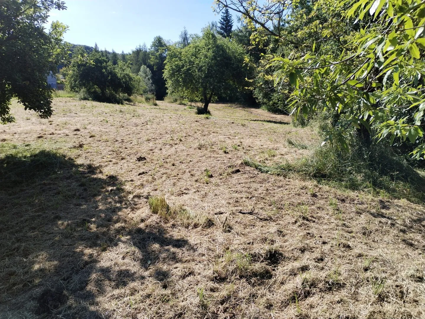 građevinsko zemljište, varaždin, 1657 m2,prilika! - slika 2