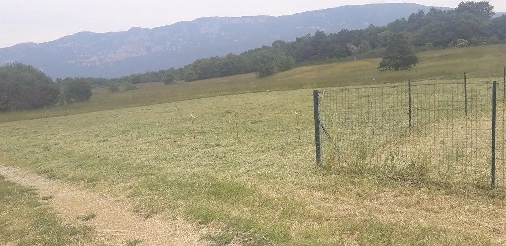 prodaja, zemljište, građevinsko, istarska županija, kršan - slika 2