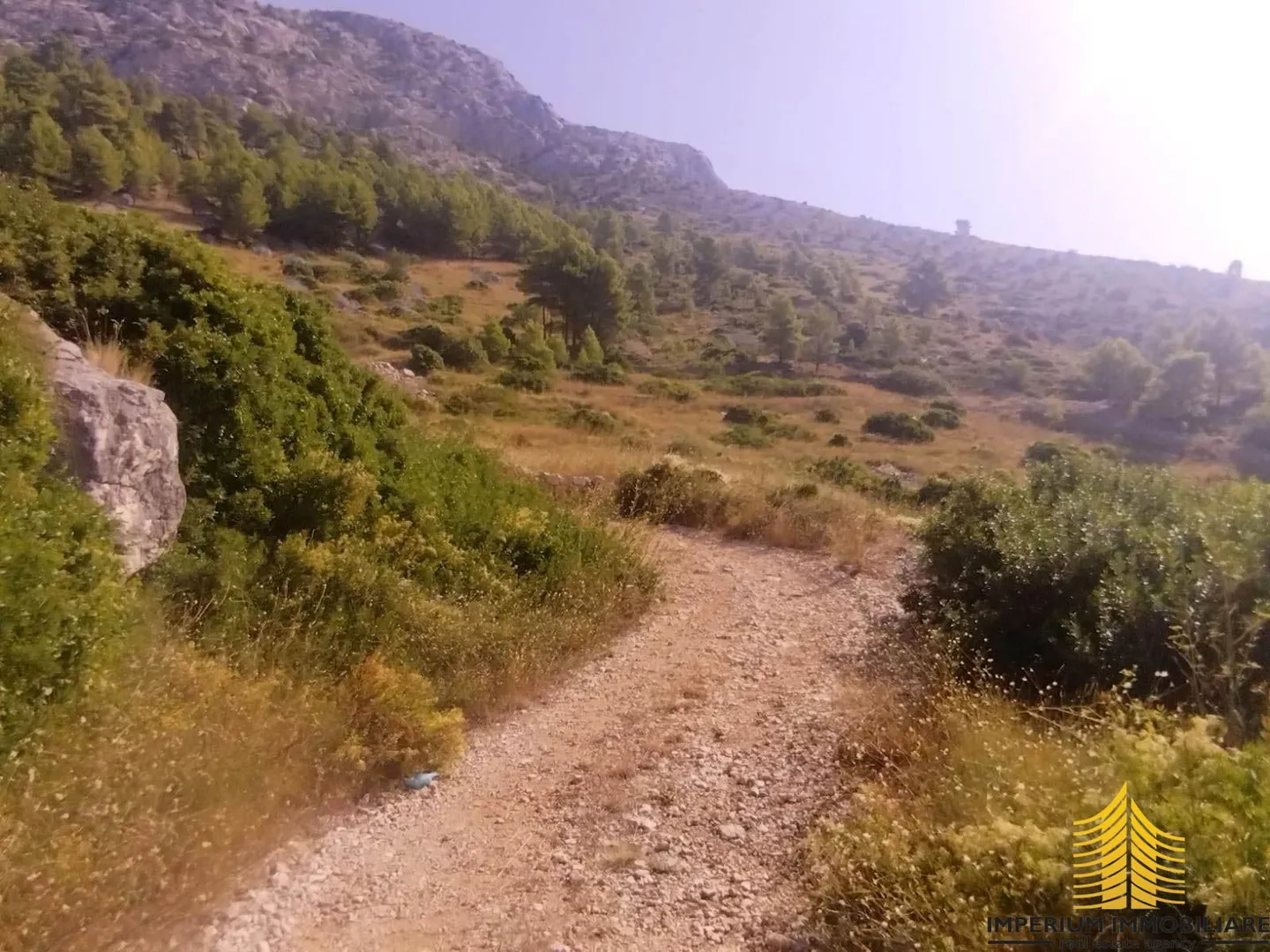 Agricultural land, sea view, 5145m2, Hvar, Croatia - Ivan Dolac, Jelsa