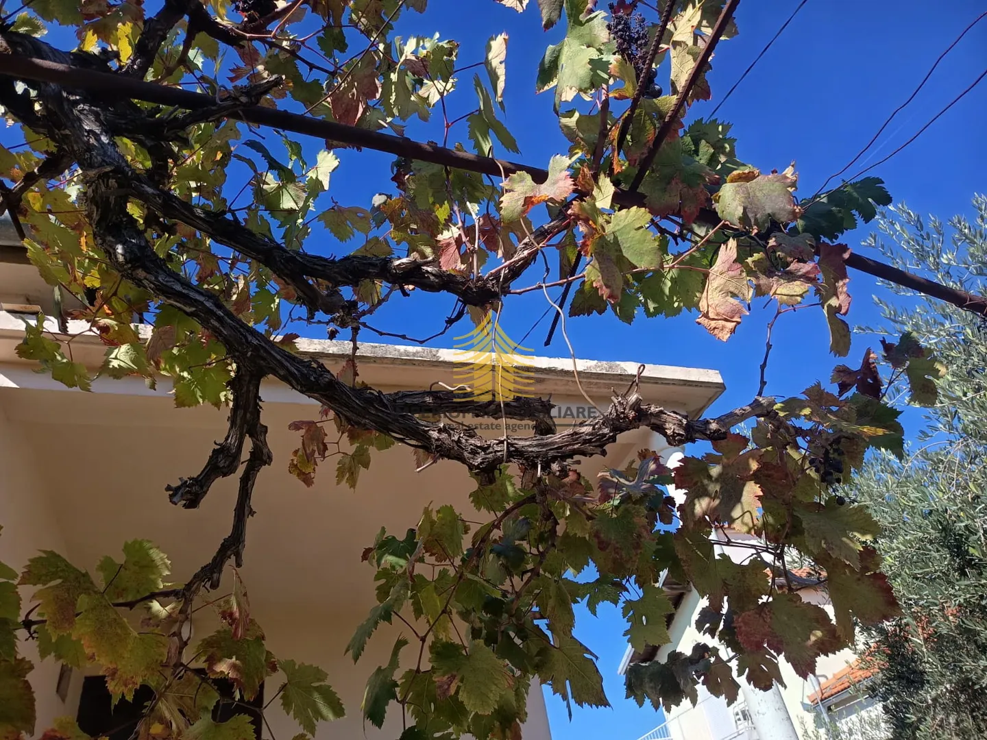 kuća, prodaja, zadar, jazine, 100m2, samostojeća - slika 9