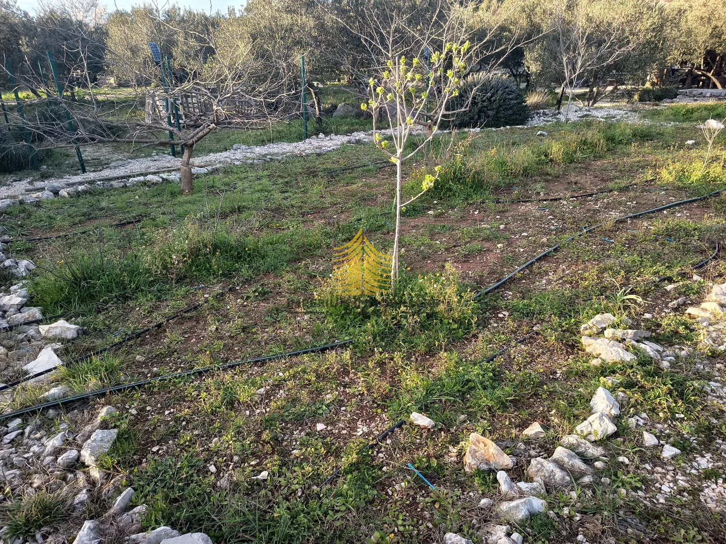 kuća, prodaja, zaton, 30000m2, samostojeća - slika 18