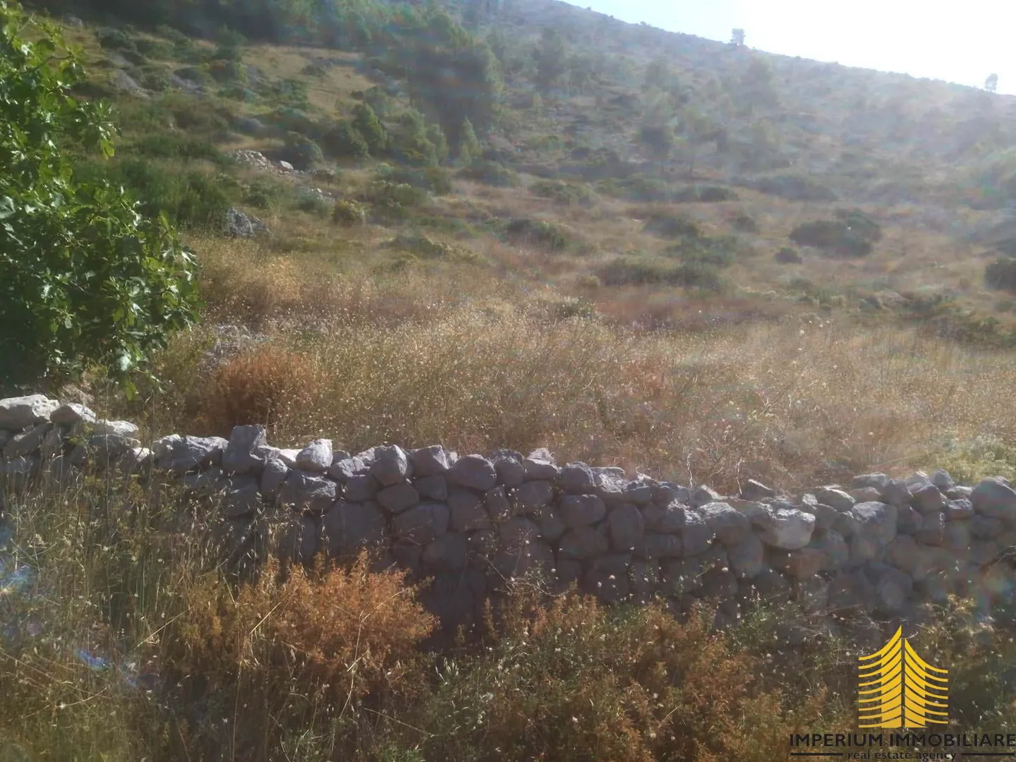 agricultural land, sea view, 5145m2, hvar, croatia - slika 4