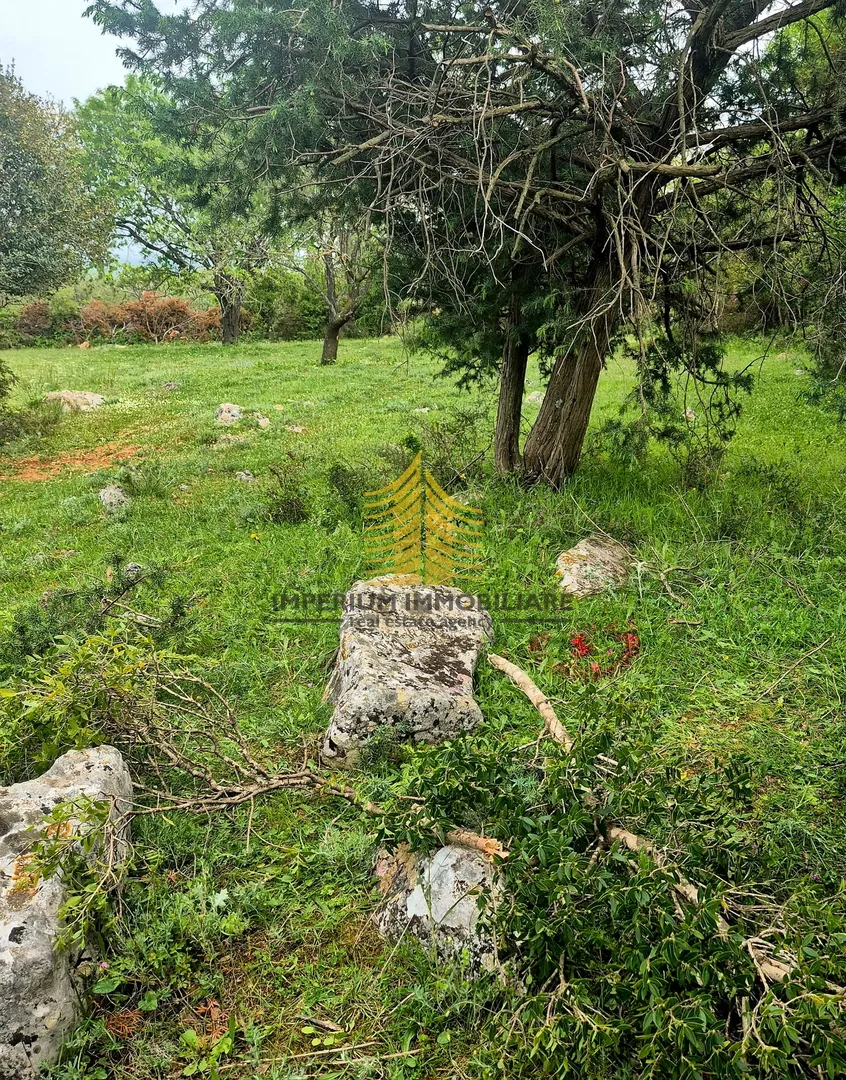 Prodaja, zemljište Zadar, Sukošan, 776m2 - Debeljak, Sukošan