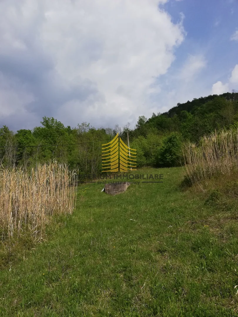 zemljište, prodaja, motovun, sveti bartol, 53183m2, građevinsko - slika 11