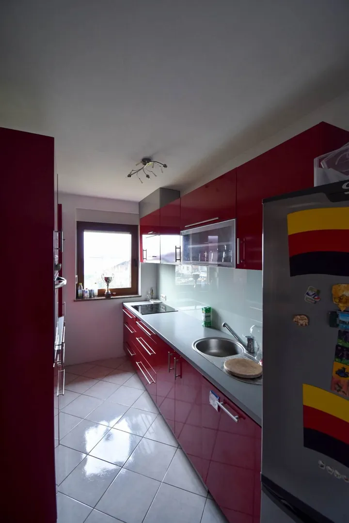 stan: granešina, 120m2, najam - slika 6