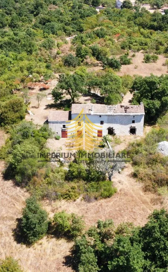 kuća, prodaja, vodnjan, 2236m2, farma - slika 3