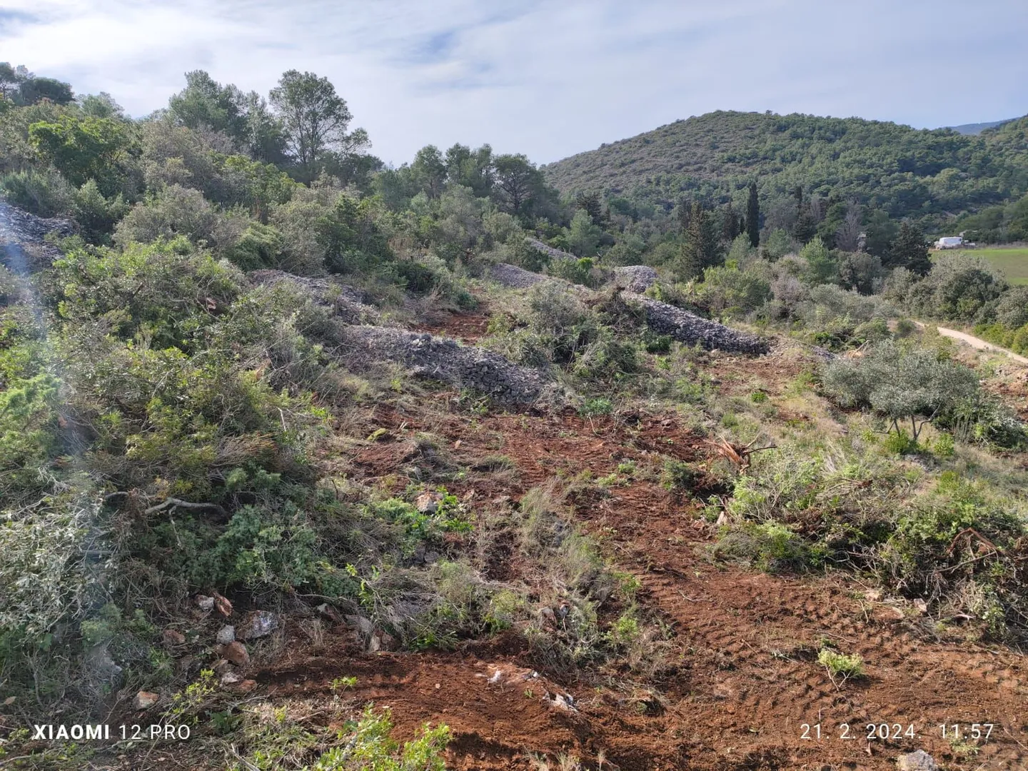 poljoprivredno zemljište, vis, 7490 m2, prodaja - slika 6