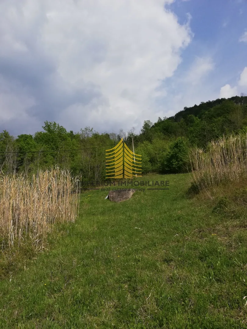 zemljište, prodaja, motovun, sveti bartol, 53183m2, građevinsko - slika 11