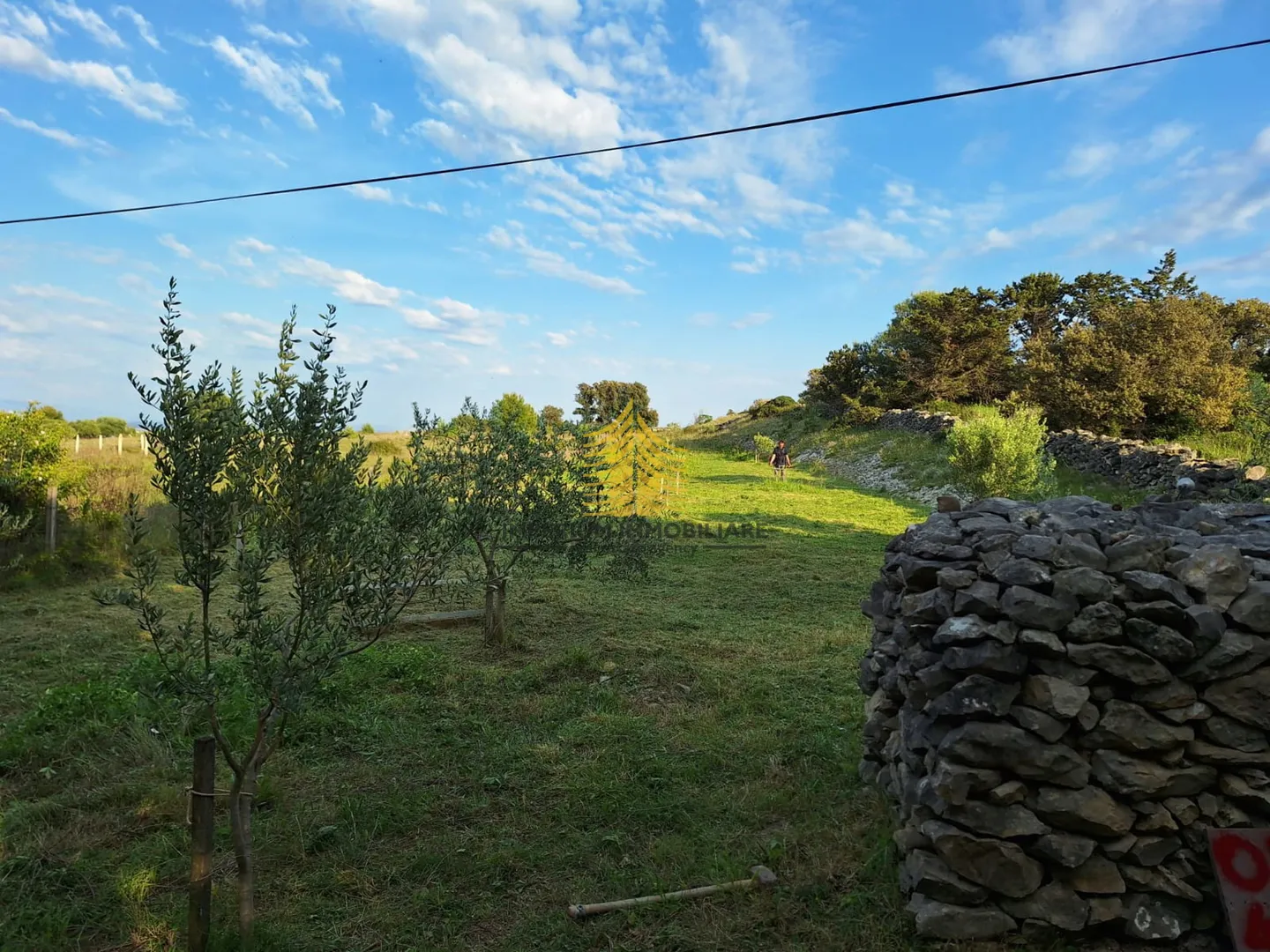 zemljište, prodaja, vir, 1959m2, poljoprivredna površina - slika 3