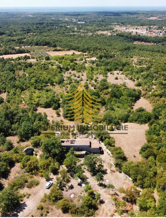 kuća, prodaja, vodnjan, 2236m2, farma - slika 2
