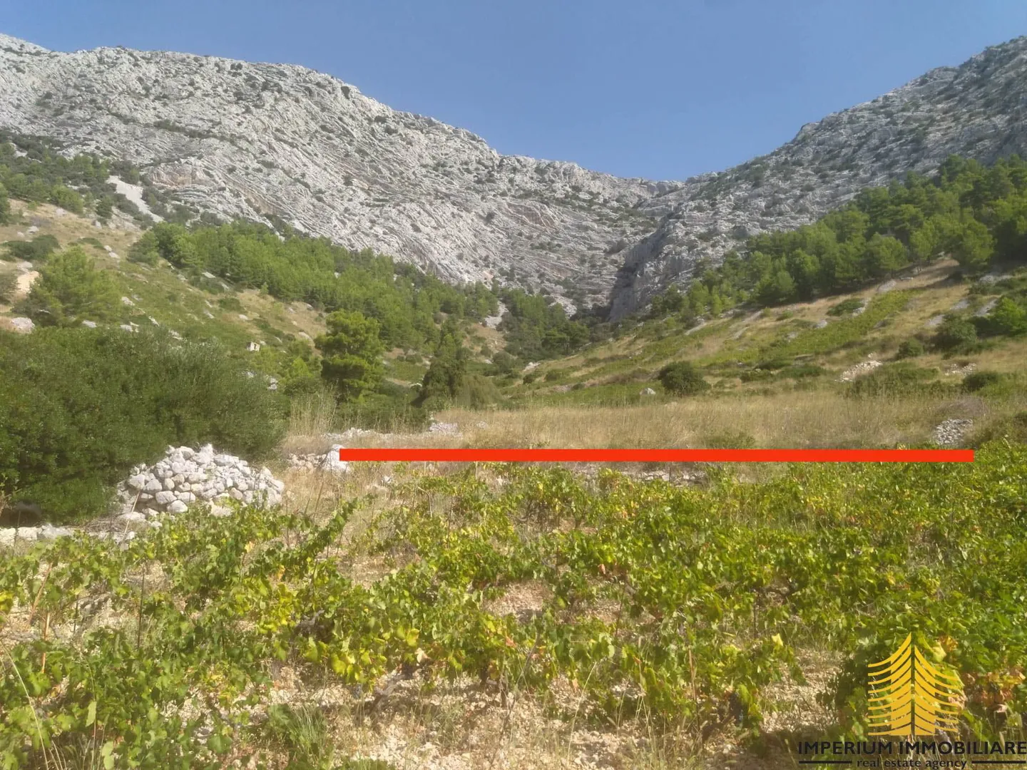agricultural land, sea view, 5145m2, hvar, croatia - slika 5