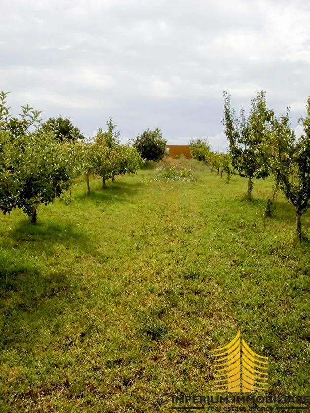 prodaja, zemljište, poljoprivredna površina, zadarska županija, posedarje - slika 8