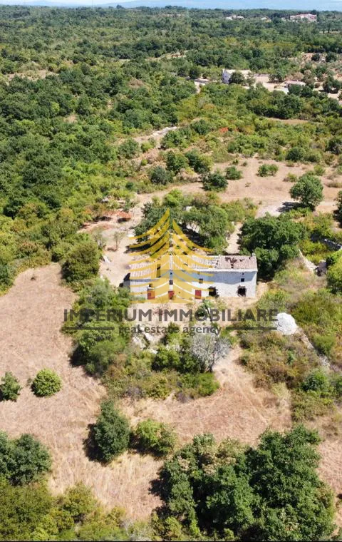 kuća, prodaja, vodnjan, 2236m2, farma - slika 6