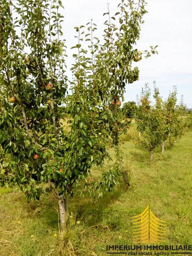 prodaja, zemljište, poljoprivredna površina, zadarska županija, posedarje - slika 5
