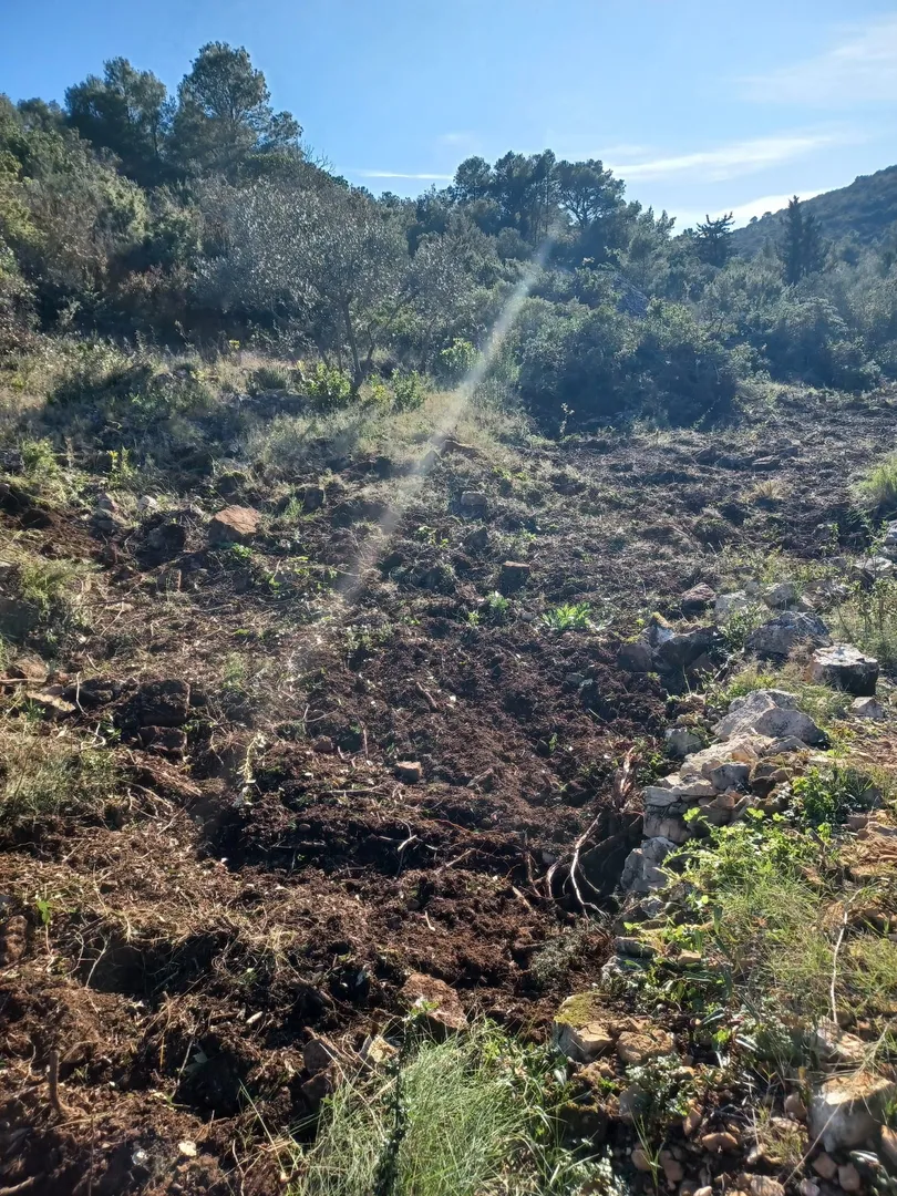 poljoprivredno zemljište, vis, 7490 m2, prodaja - slika 4