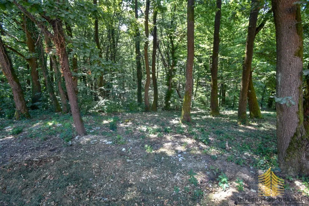 Remete, zemljište u Z2 zoni 4587 m2 - Zagreb