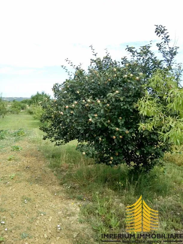 prodaja, zemljište, poljoprivredna površina, zadarska županija, posedarje - slika 2