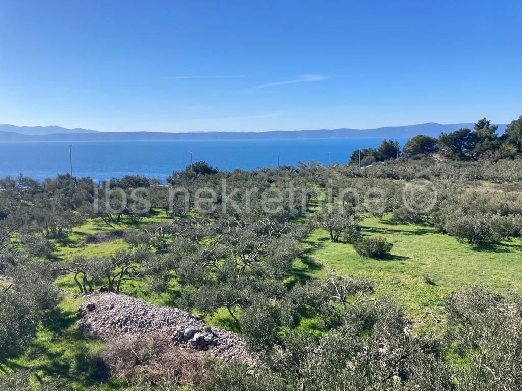 Podgora - građevinsko zemljište za urbane vile! - Podgora, Podgora