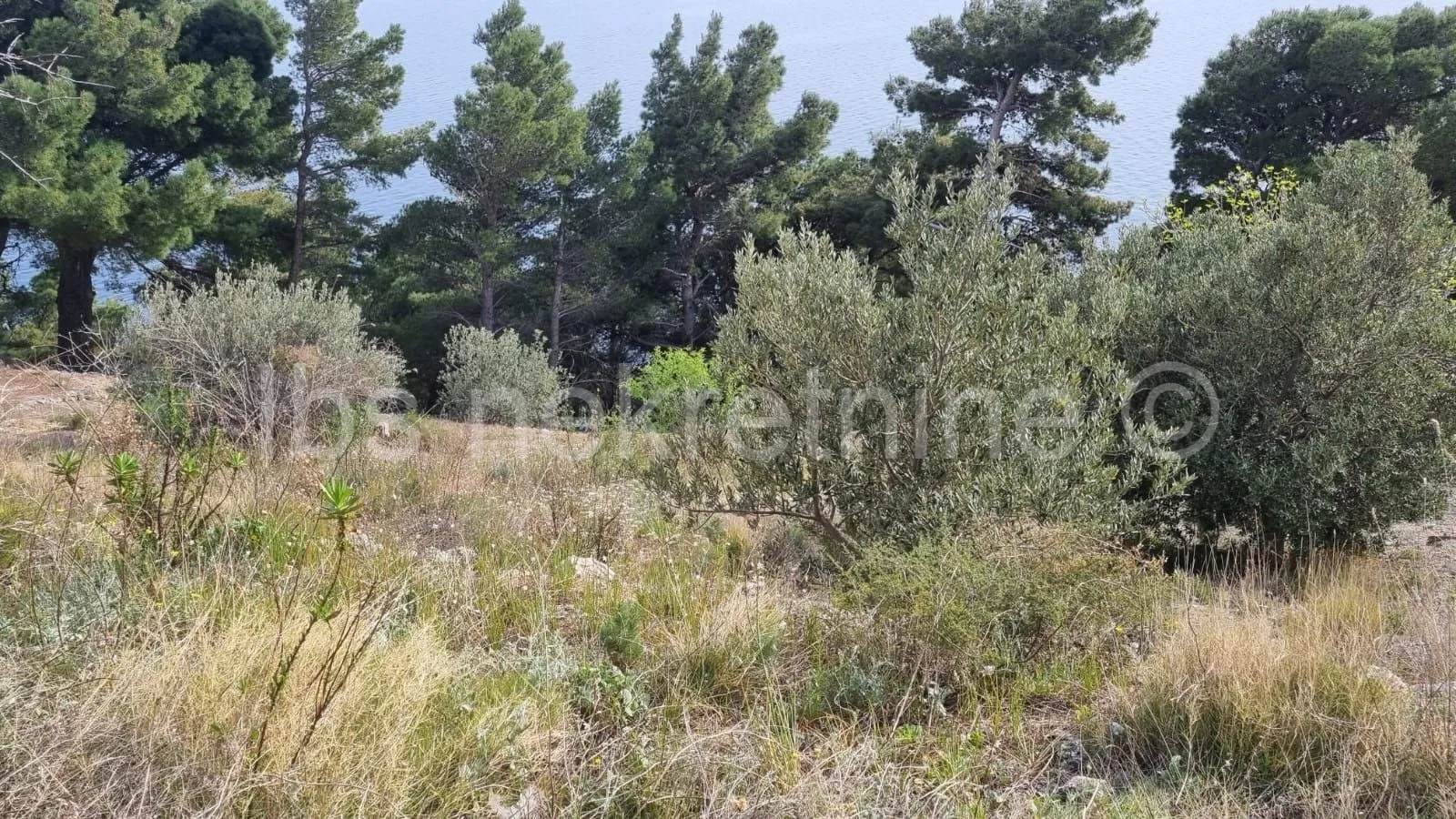 omiška rivijera-prvi red do mora!! - slika 3