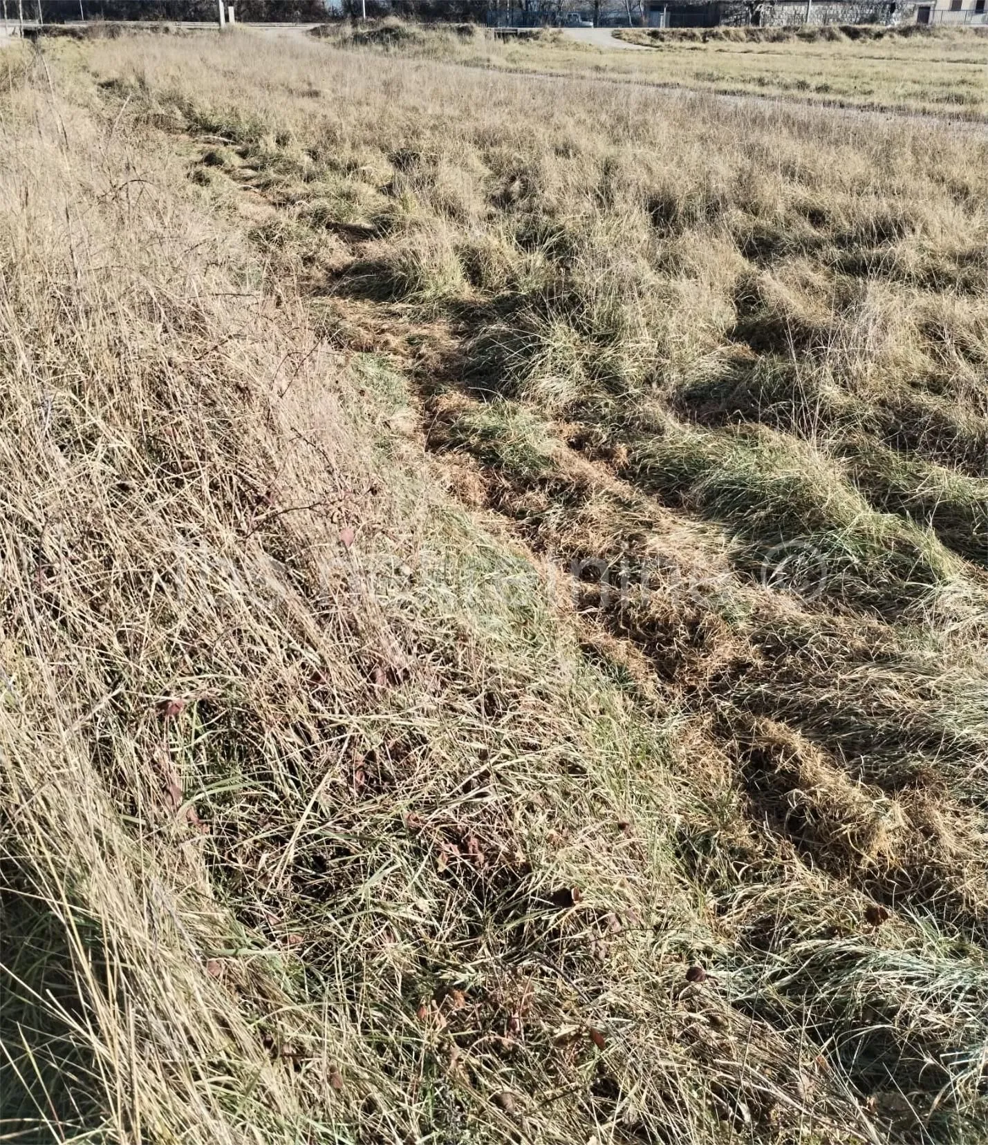 Građevinsko zemljište Trilj, Košute - Košute, Trilj