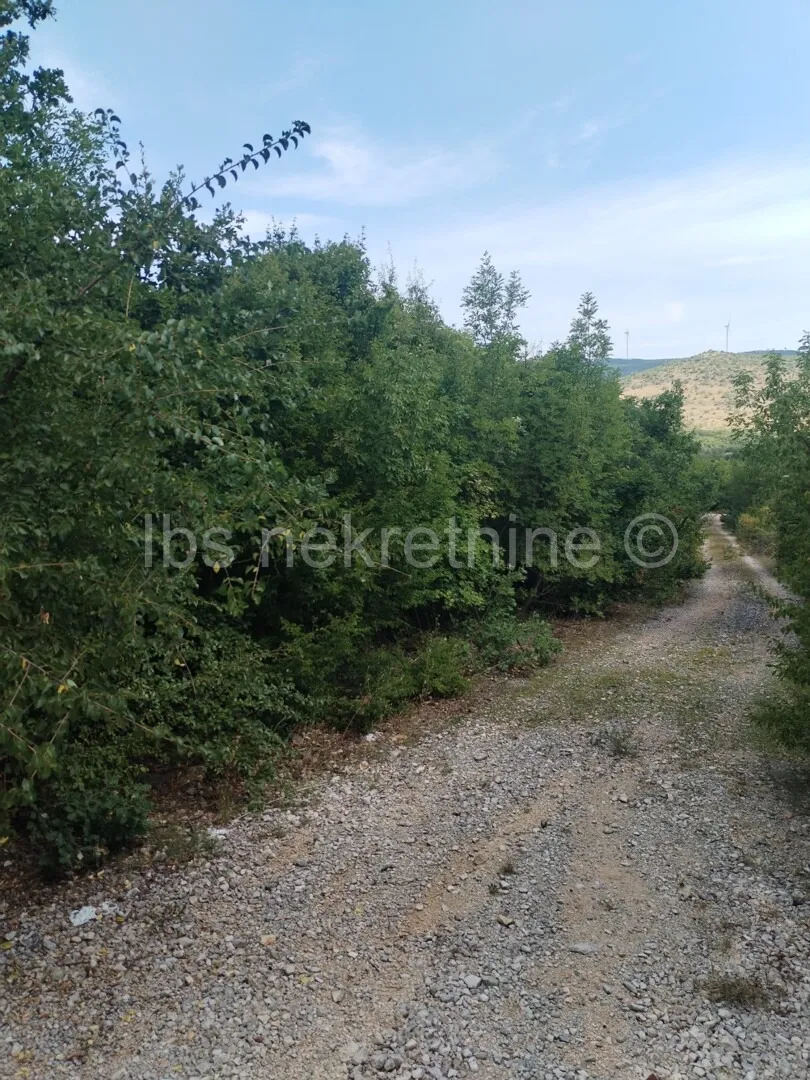 dicmo, zemljište 18000 m2 - slika 5