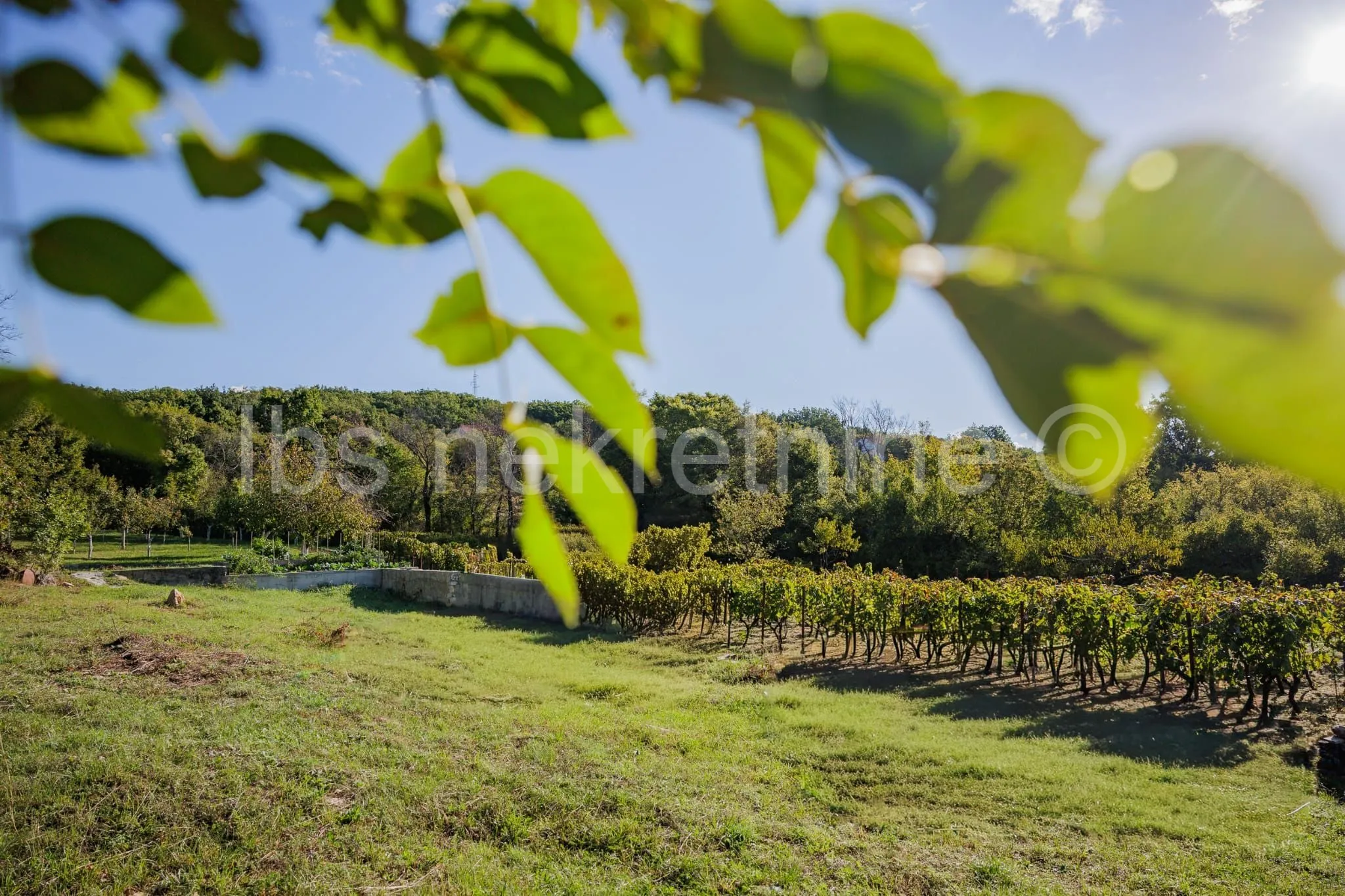 građevinsko zemljište 3.024 m² s vinogradom - blizu sinja - slika 24