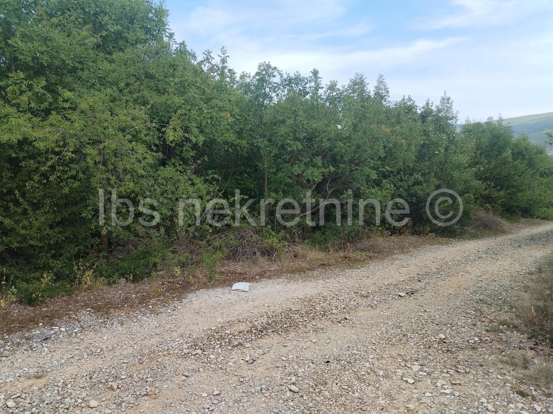 dicmo, zemljište 18000 m2 - slika 4