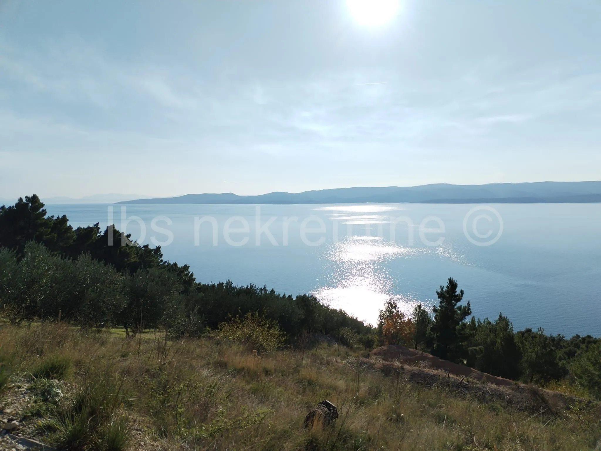 Marušići zemljište 4000 m2 - Marušići, Omiš