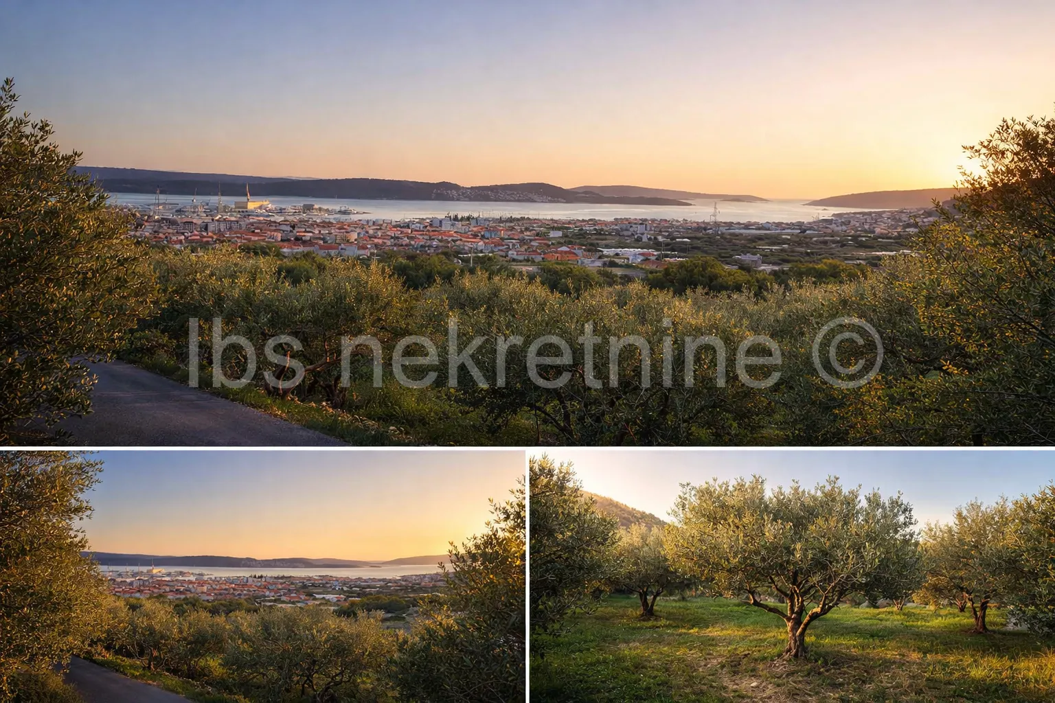 ***Trogir – Prekrasan maslinik s pogledom na more!!!*** - Trogir, Trogir