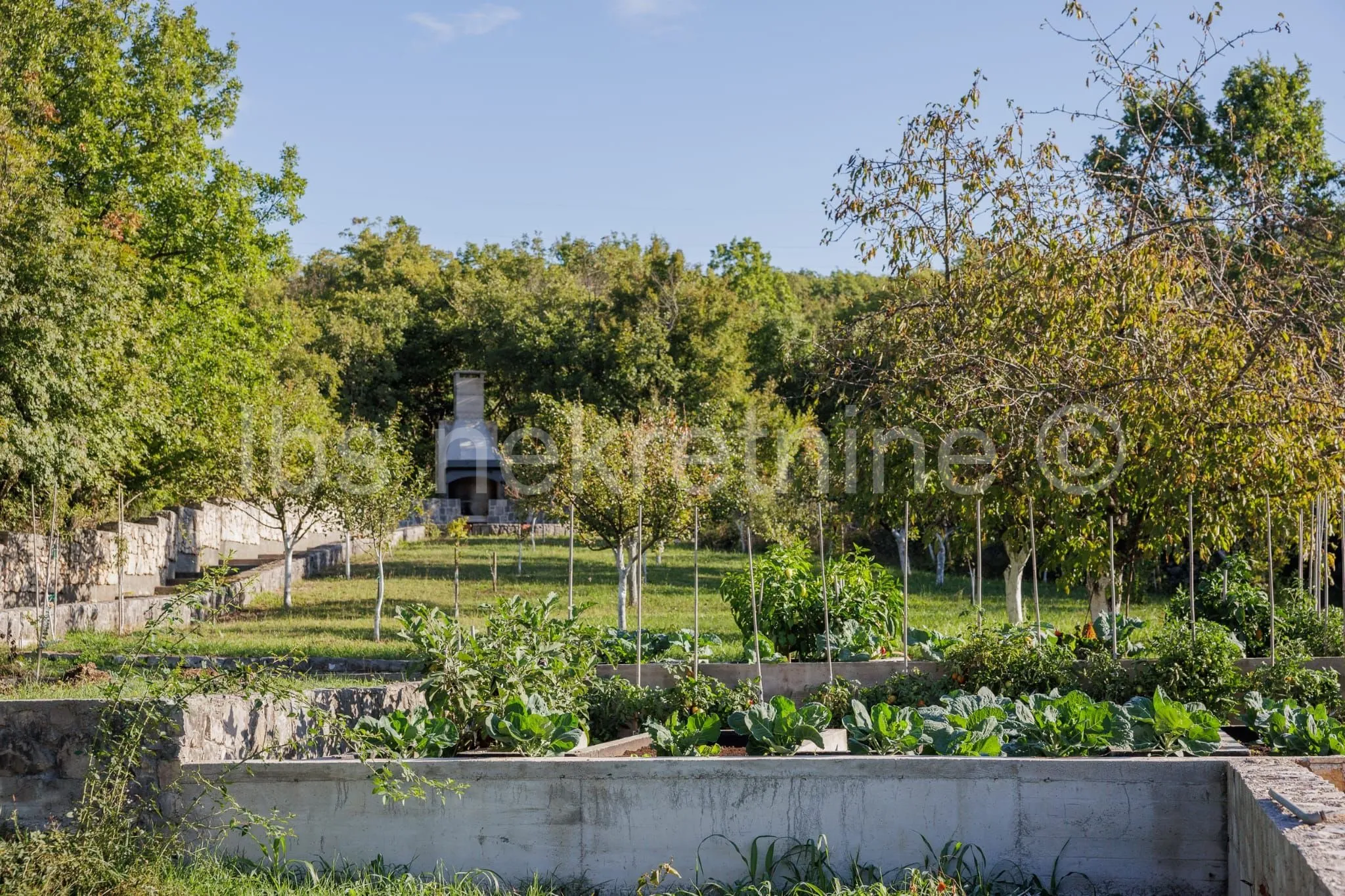građevinsko zemljište 3.024 m² s vinogradom - blizu sinja - slika 8