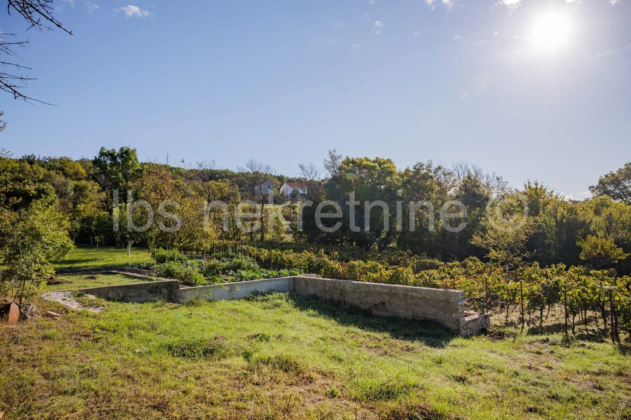 građevinsko zemljište 3.024 m² s vinogradom - blizu sinja - slika 26