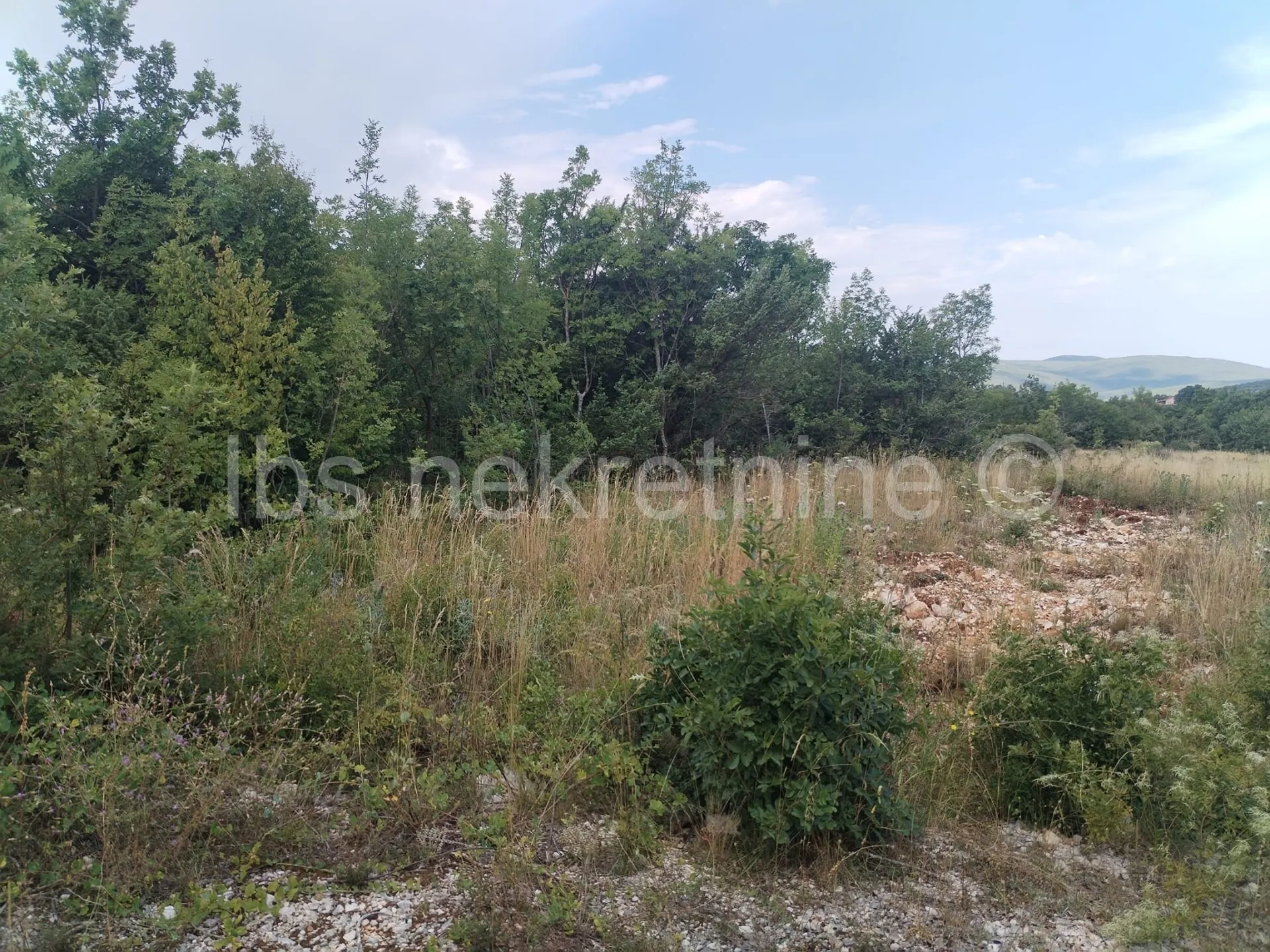 dicmo, zemljište 18000 m2 - slika 3