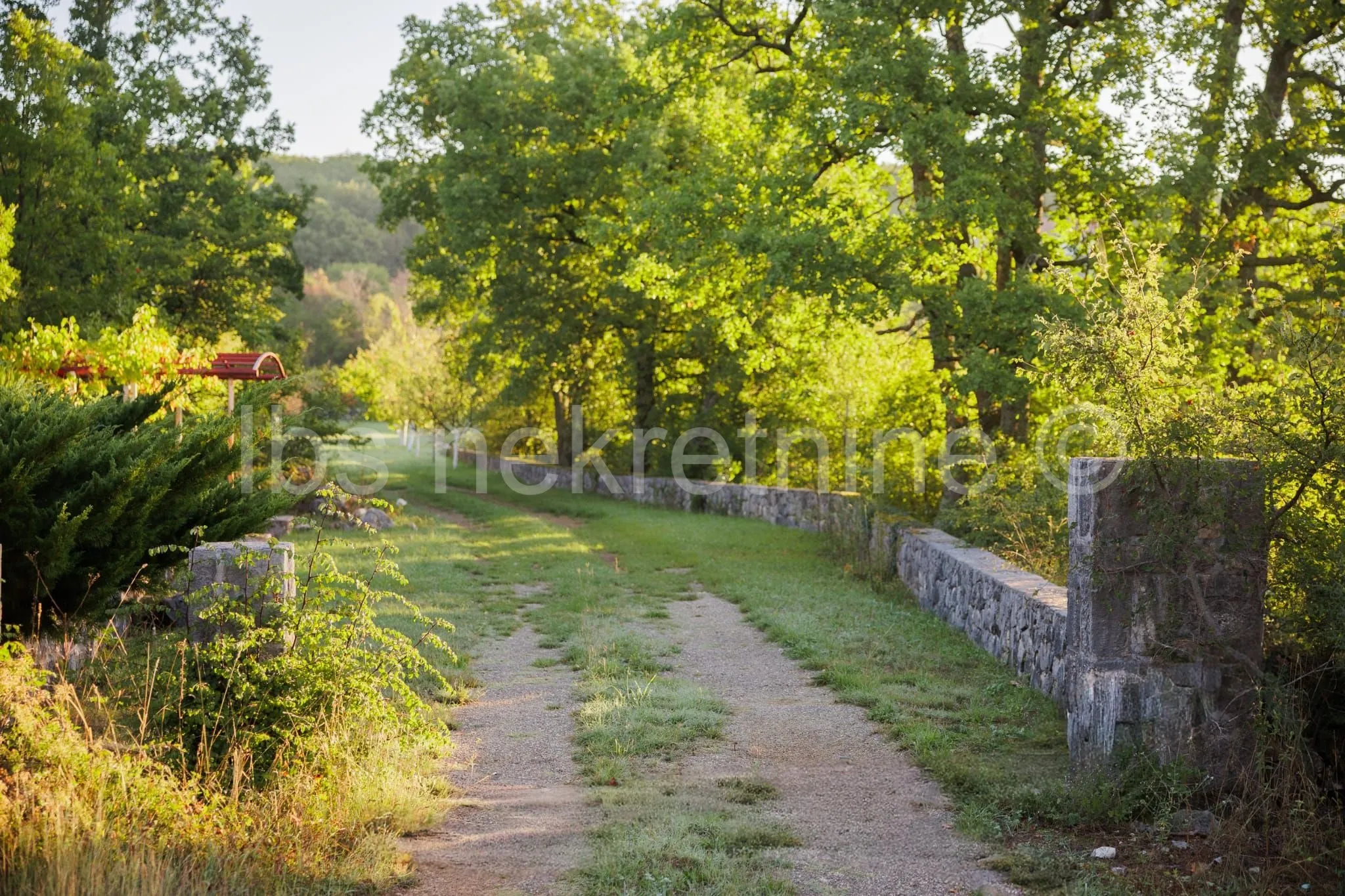 građevinsko zemljište 3.024 m² s vinogradom - blizu sinja - slika 12