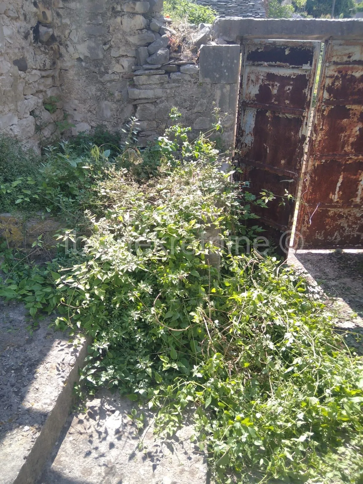 kuća prodaja pučišća 200 m2 - slika 4