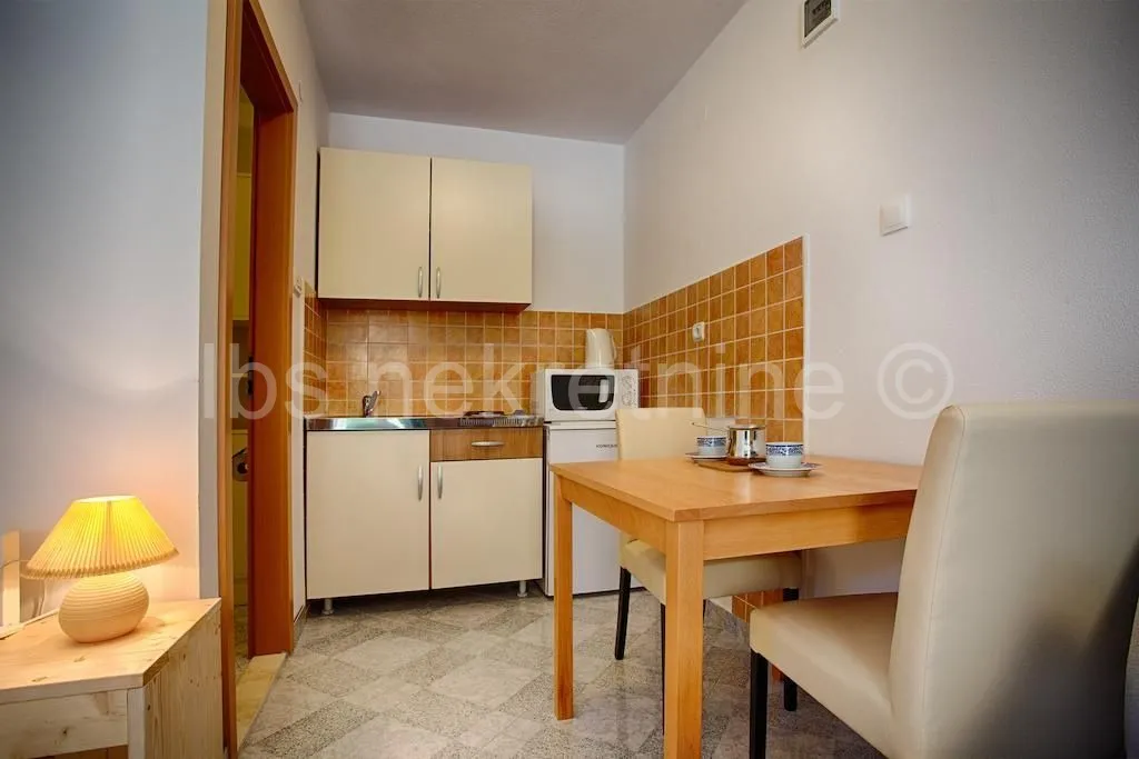 dvojna kuća s tri apartmana!! - slika 6