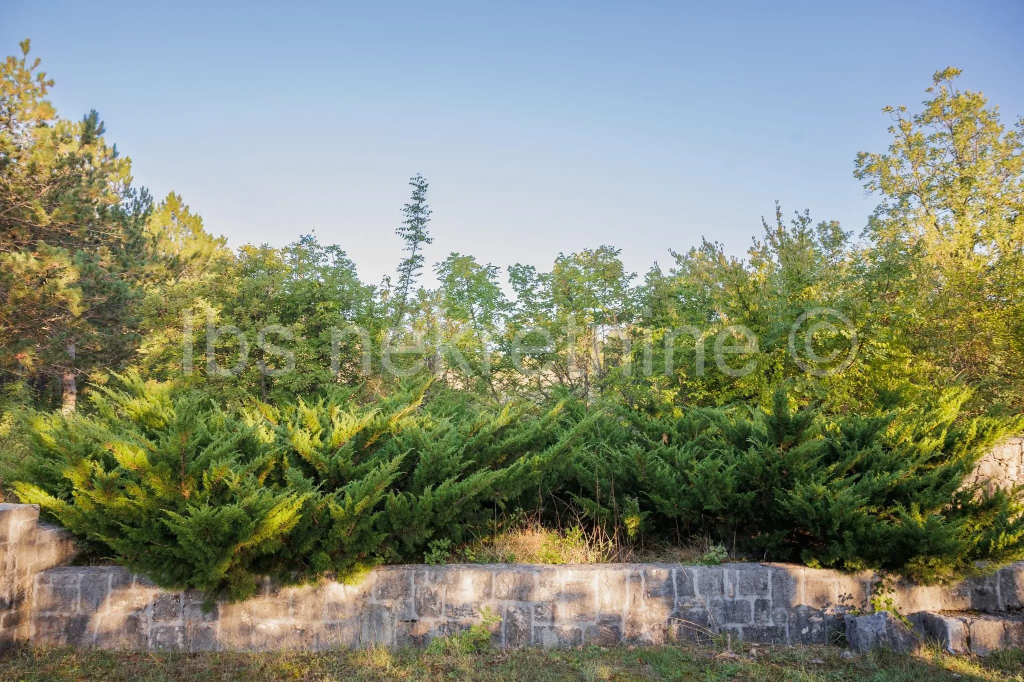 građevinsko zemljište 3.024 m² s vinogradom - blizu sinja - slika 4
