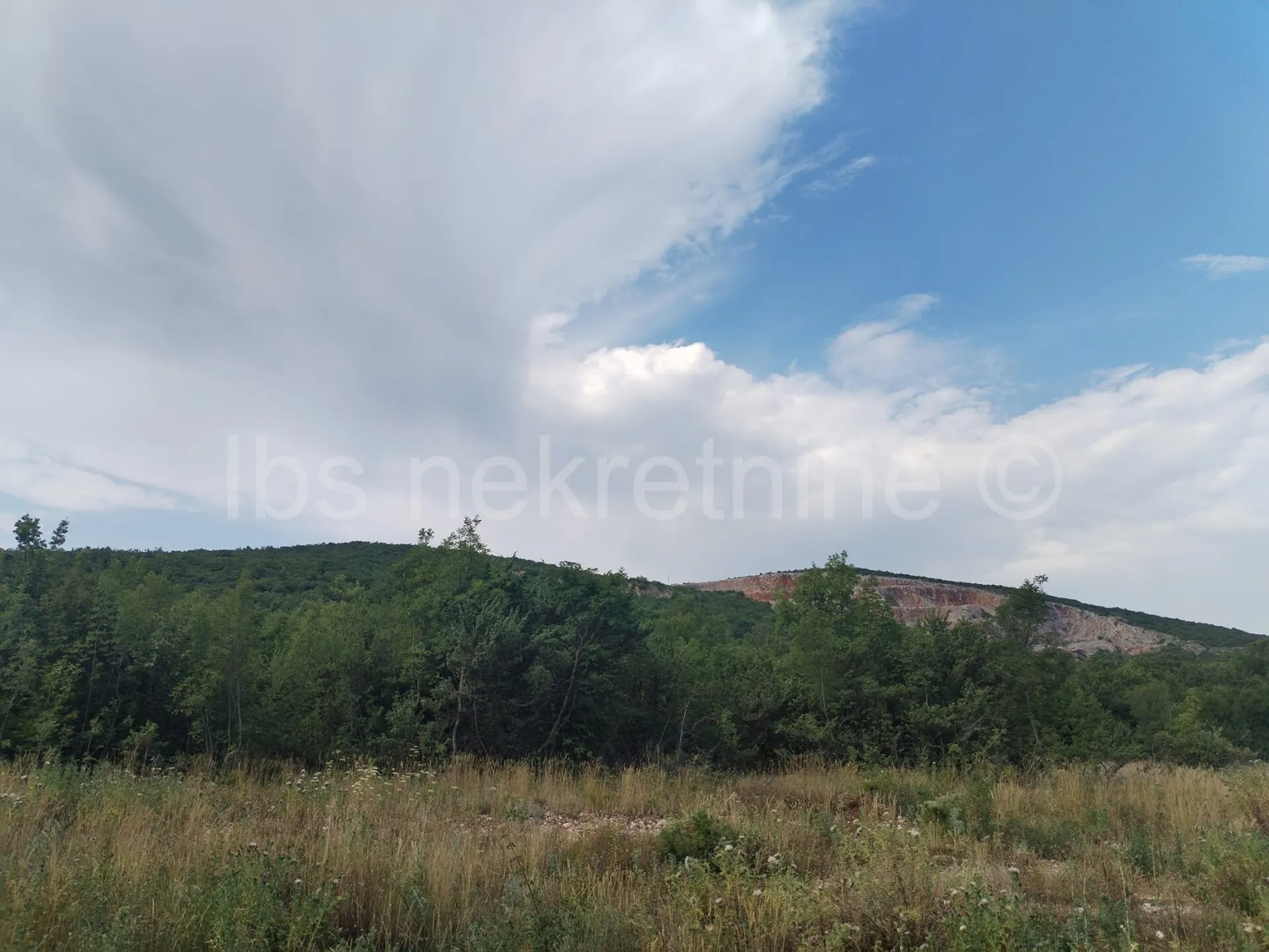 dicmo, zemljište 18000 m2 - slika 2