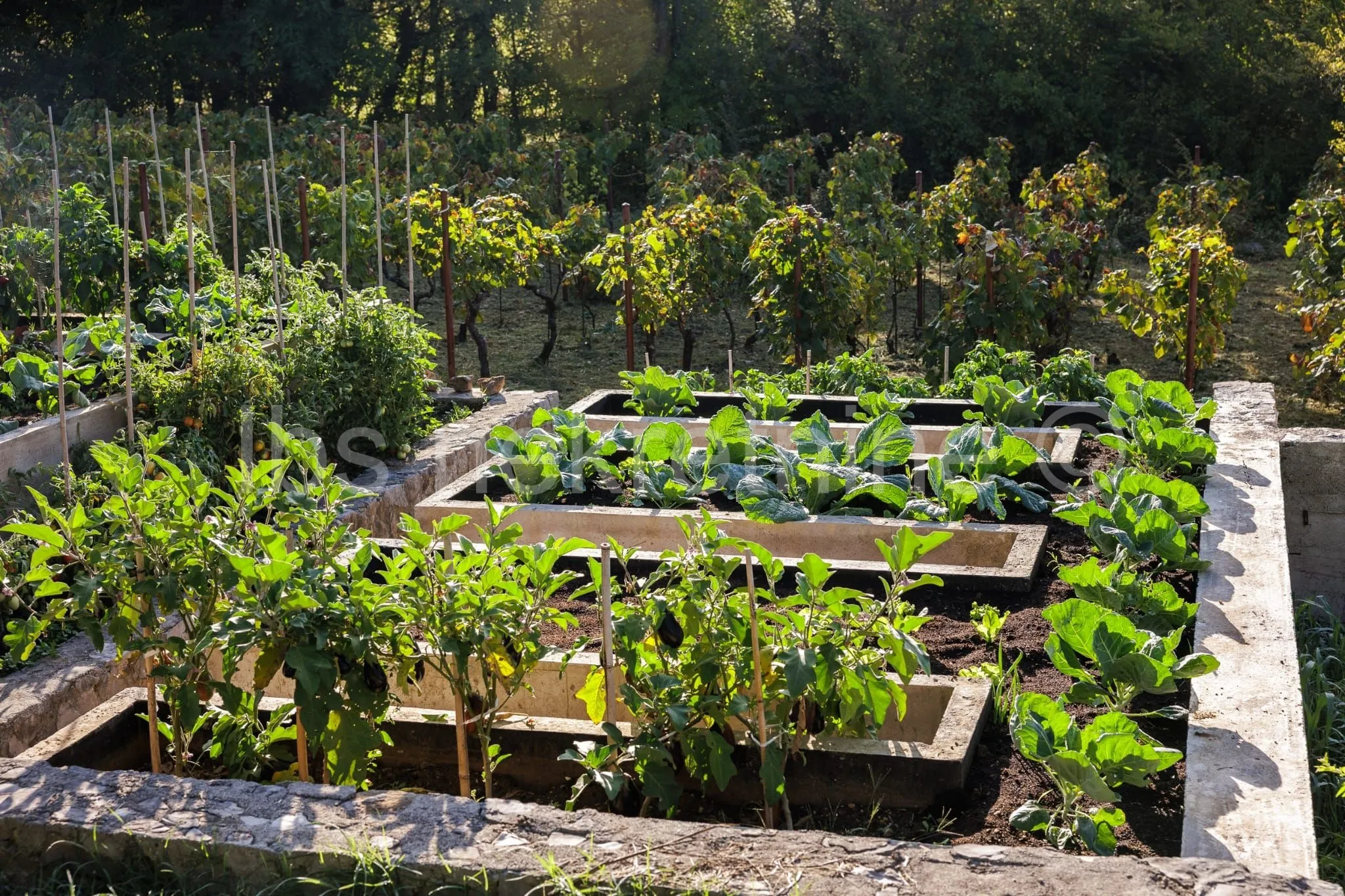 građevinsko zemljište 3.024 m² s vinogradom - blizu sinja - slika 22