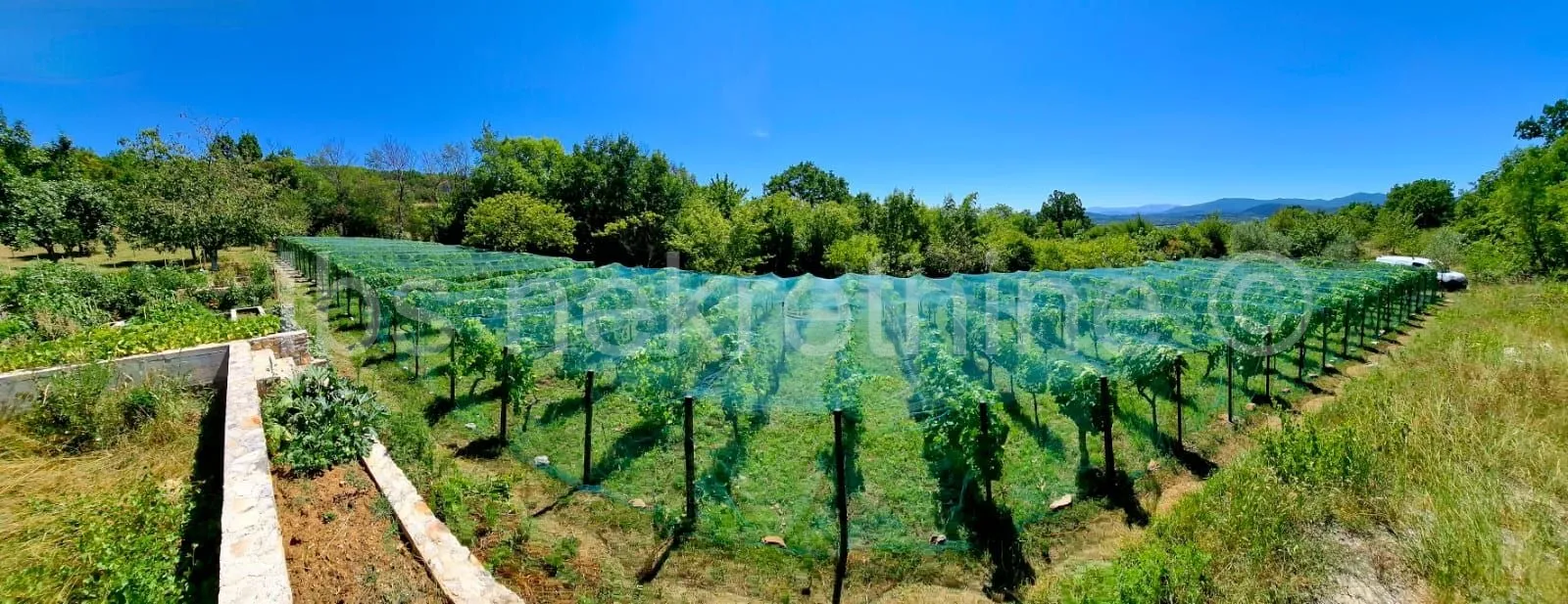 građevinsko zemljište 3.024 m² s vinogradom - blizu sinja - slika 20