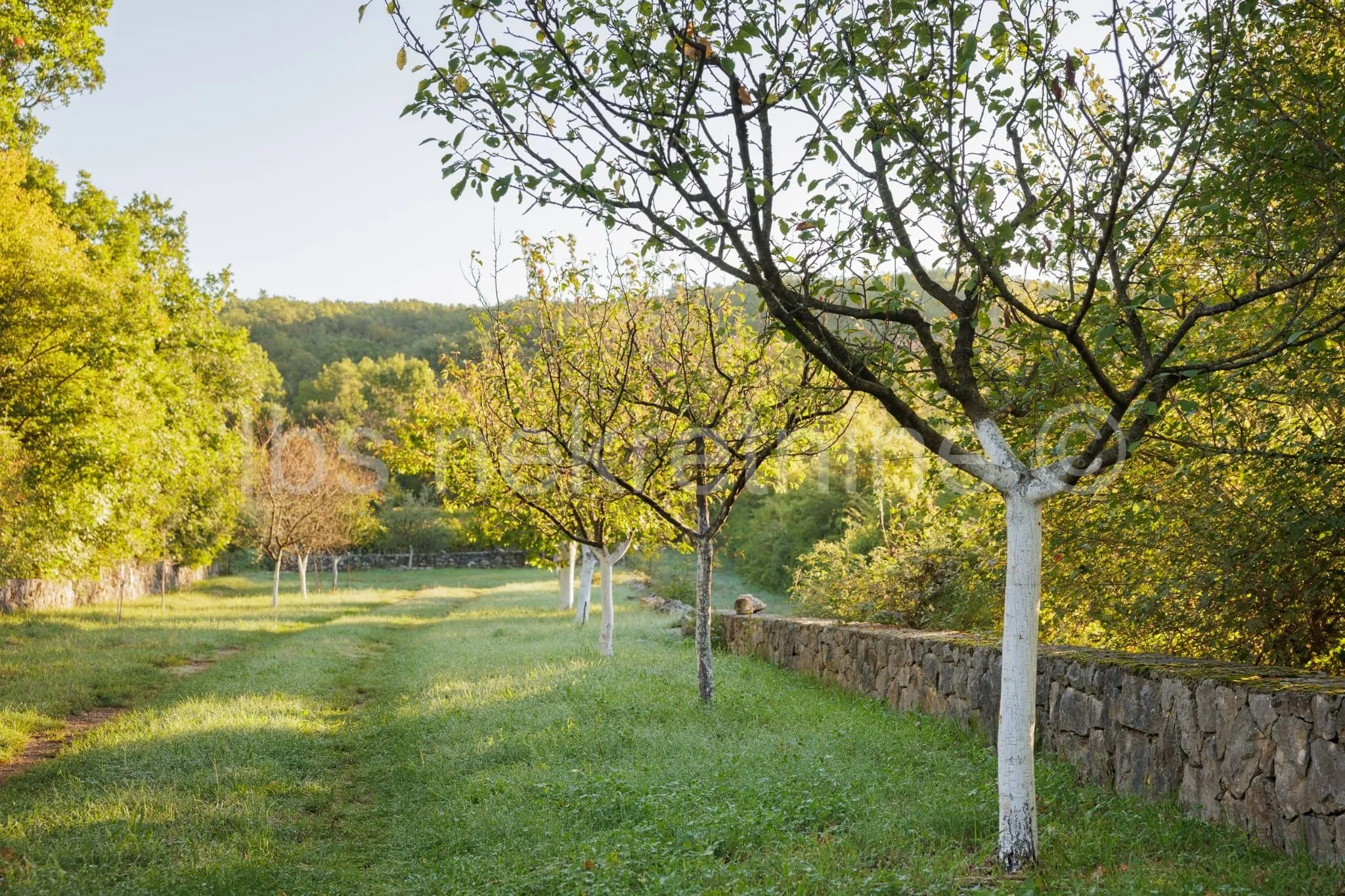 građevinsko zemljište 3.024 m² s vinogradom - blizu sinja - slika 2
