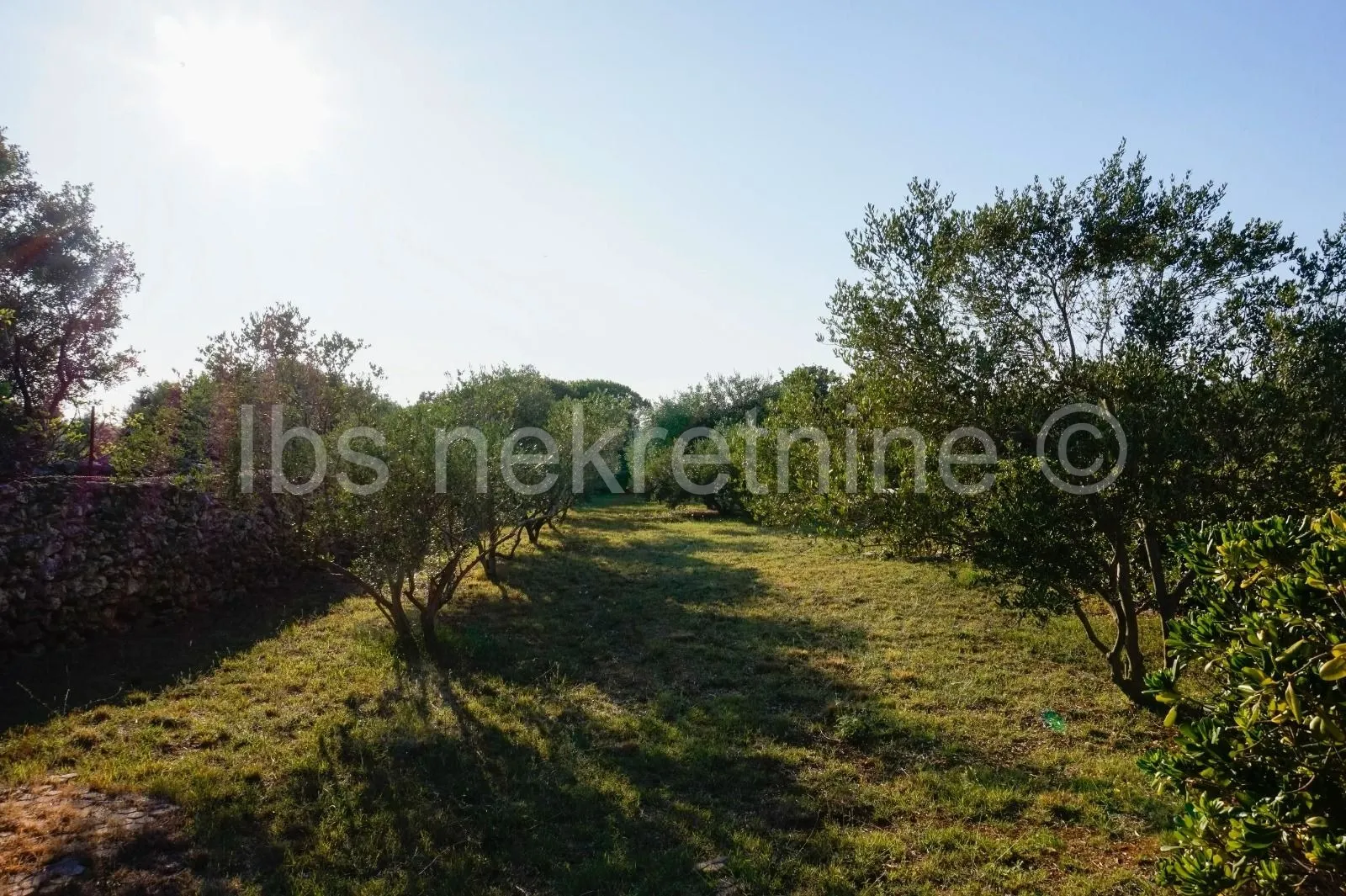 villa u prirodi s dva bazena - slika 13