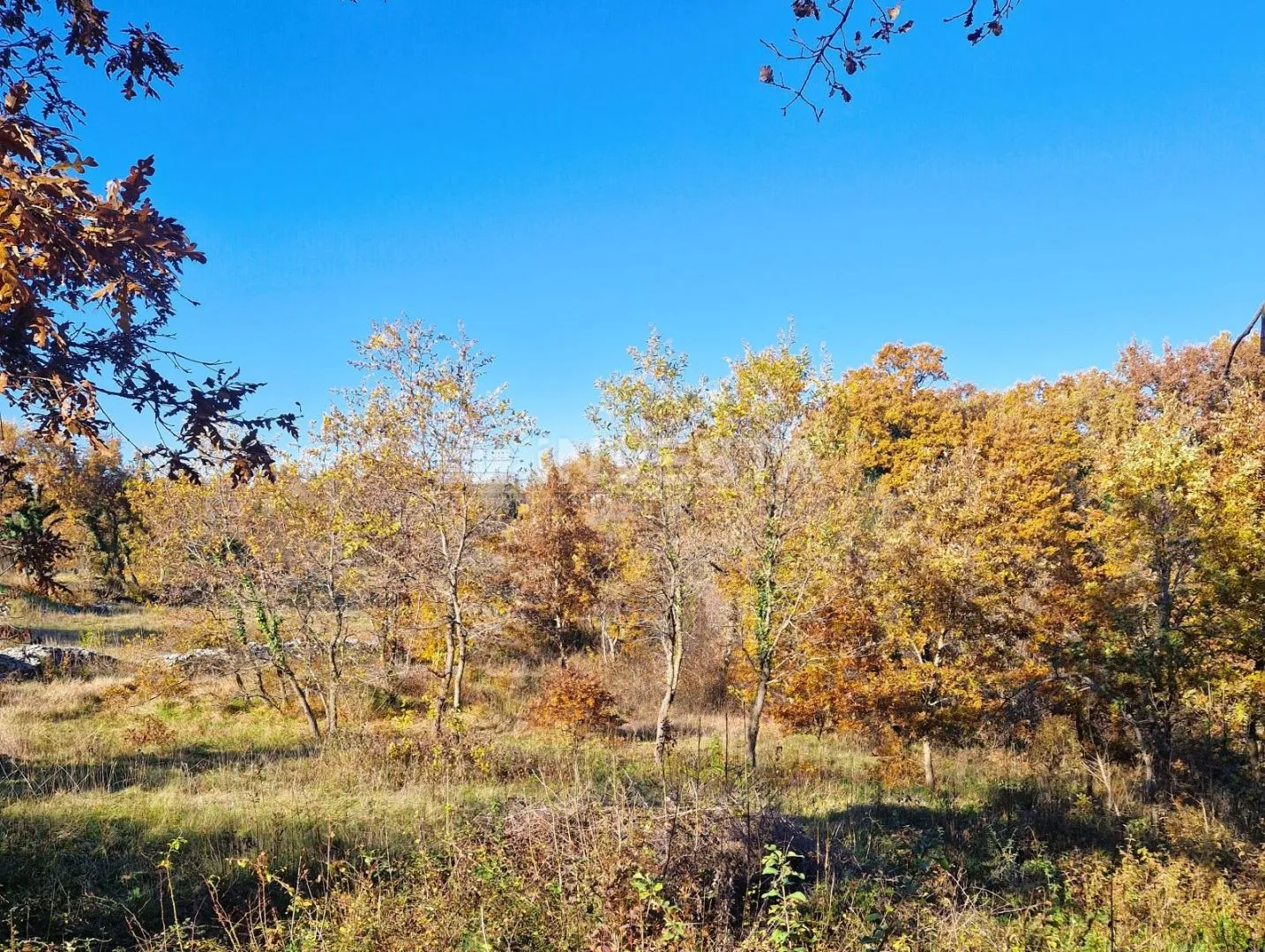 štokovci, građevinsko 1.256 m2 i poljoprivredno 568 m2zemljište - slika 9