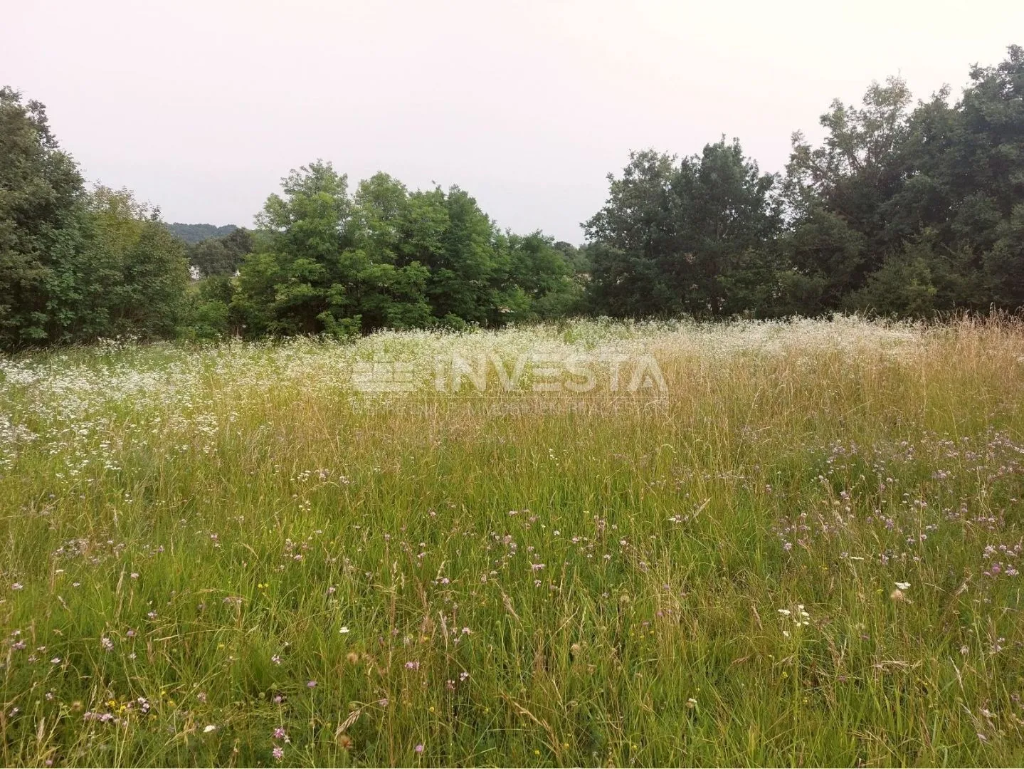 tinjan, građevinsko zemljište 3197 m2 + 971 m2 poljoprivredno - slika 2
