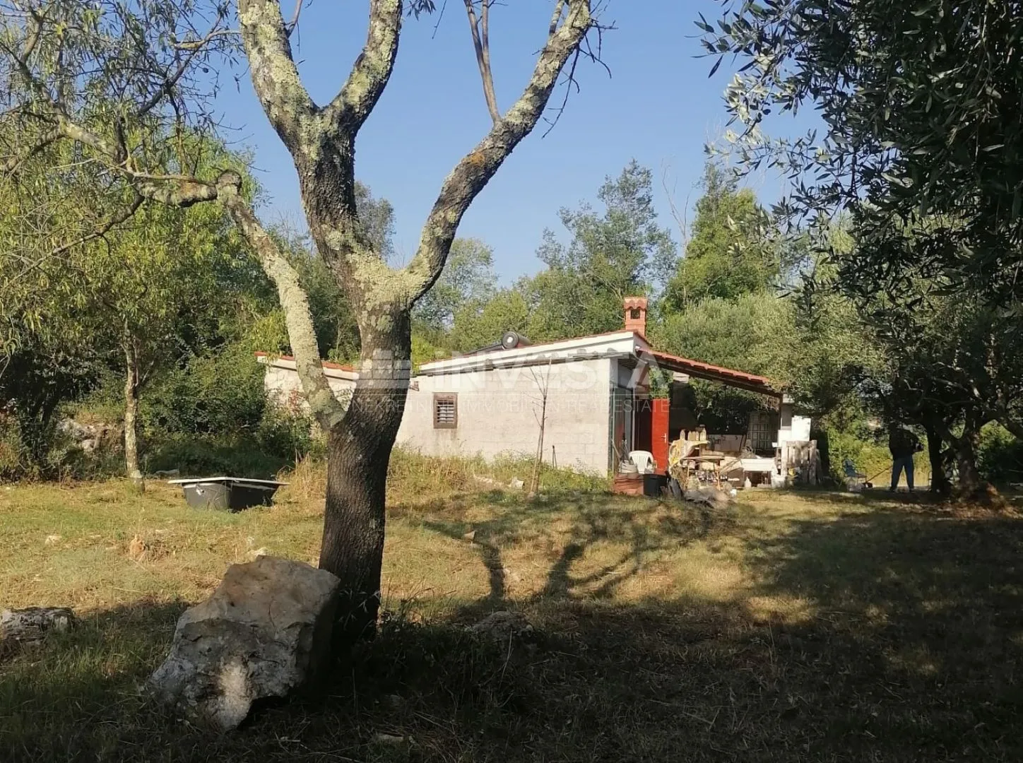 rovinj, zelena oaza mira blizu mora - slika 2