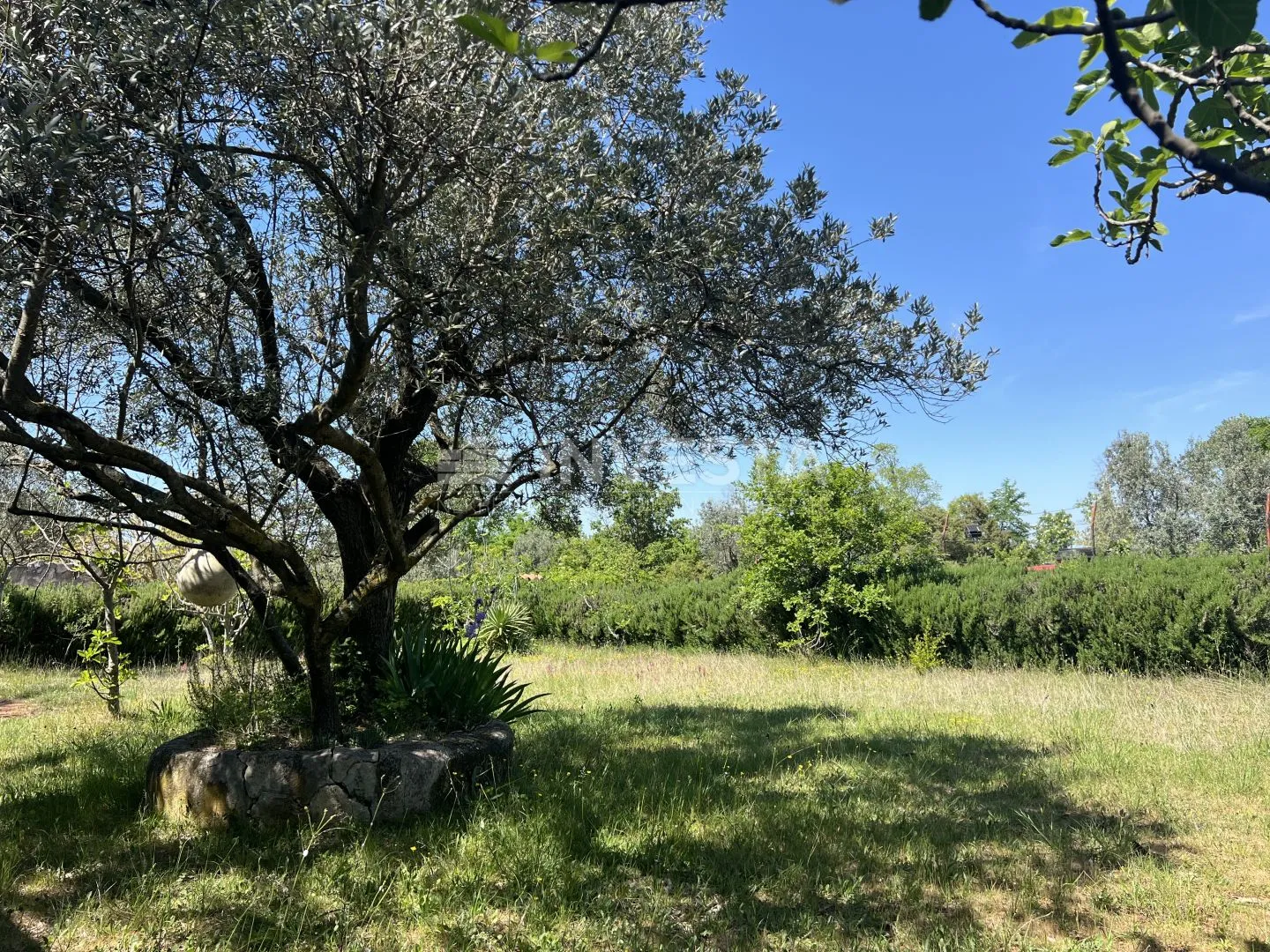 peroj, samostojeća kuća sa velikom okućnicom - slika 17