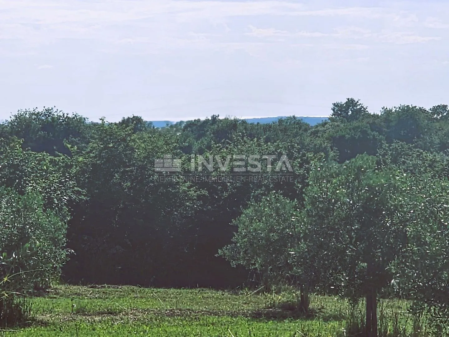 investicijska prilika na jugu istre – turističko-poljoprivredni projekt - slika 8