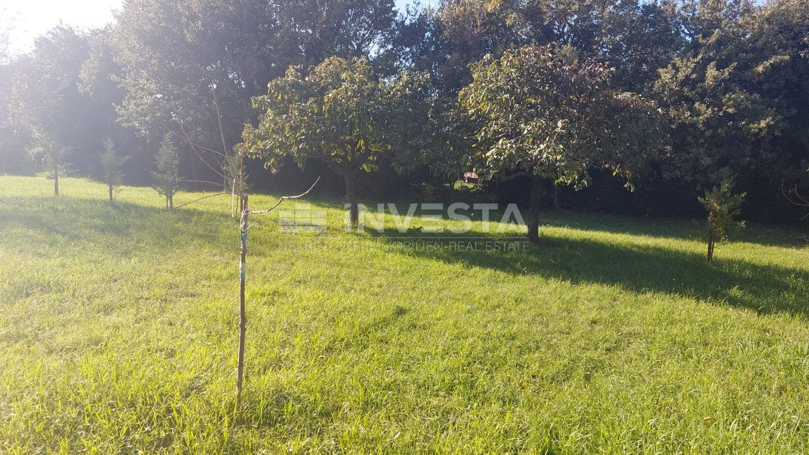 poreč okolica, građevinsko zemljište sa gospodarskom zgradom - slika 2